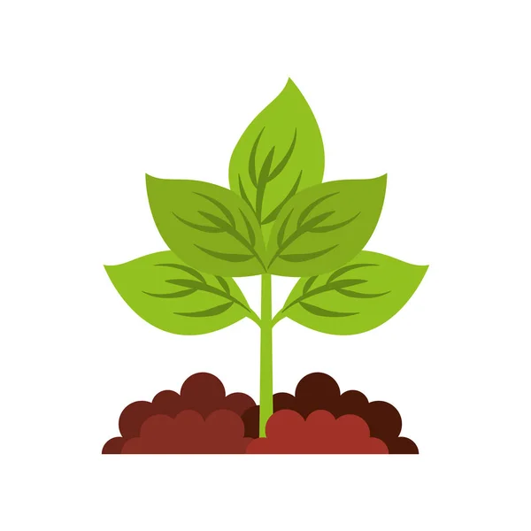 Agriculture cultive isolated icon — Stock Vector