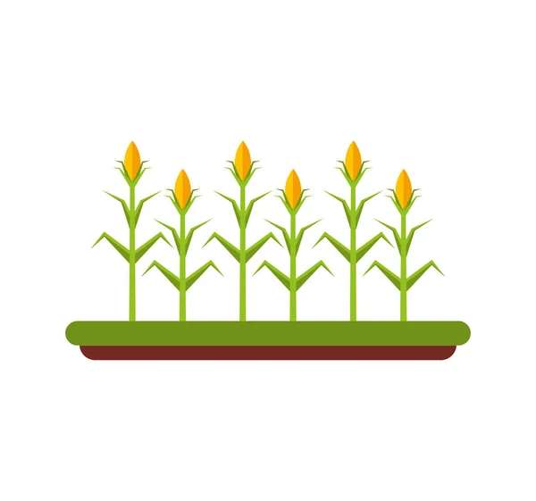 Agriculture cultive isolated icon — Stock Vector