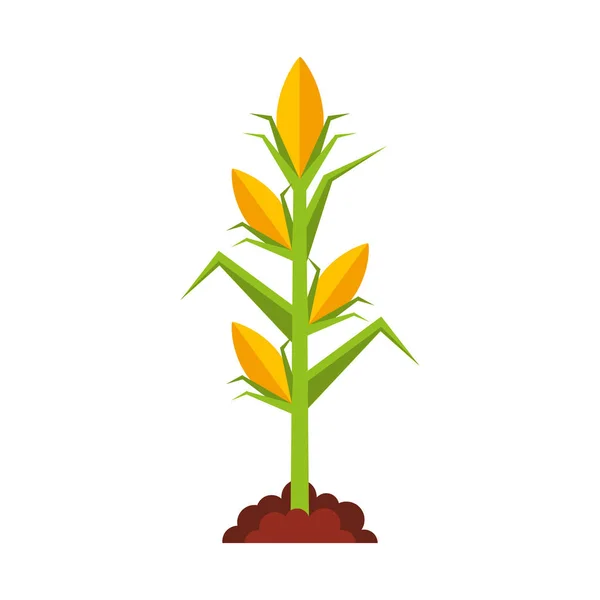 Zemědělství cultive izolované ikona — Stockový vektor