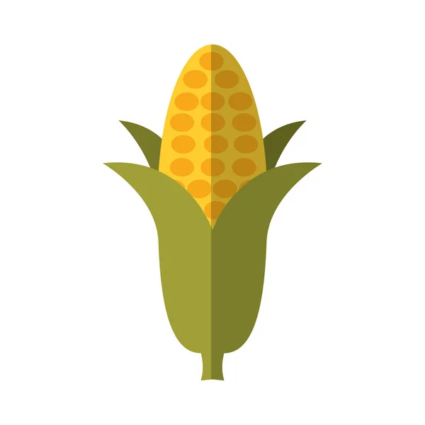 Maíz vegetal aislado icono — Vector de stock