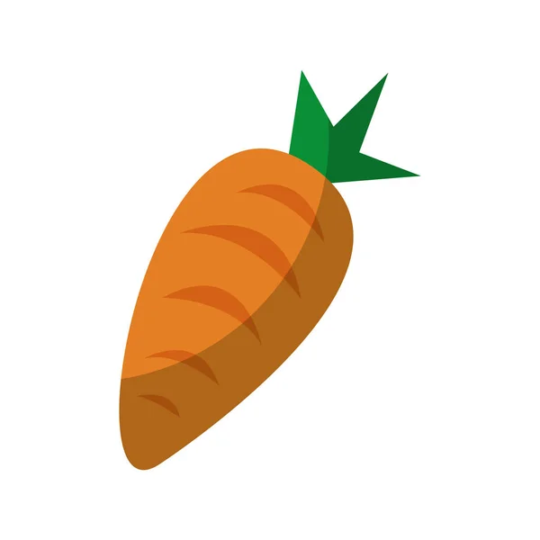 Wortel verse groenten geïsoleerde pictogram — Stockvector
