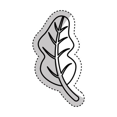 taze sebze izole simgesi