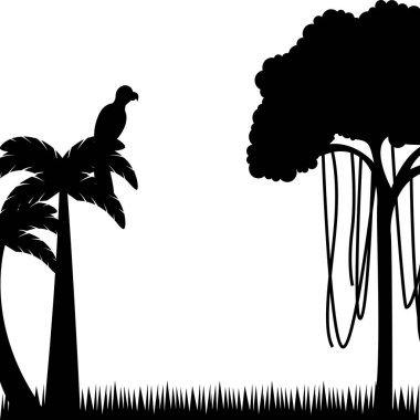 ağaç palm tropikal simgesi