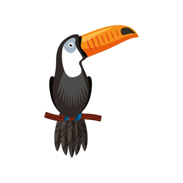 Toucan tropisk fågel ikonen — Stock vektor