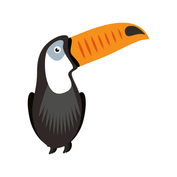 Εικονίδιο τροπικό πτηνό Τουκάν — Διανυσματικό Αρχείο