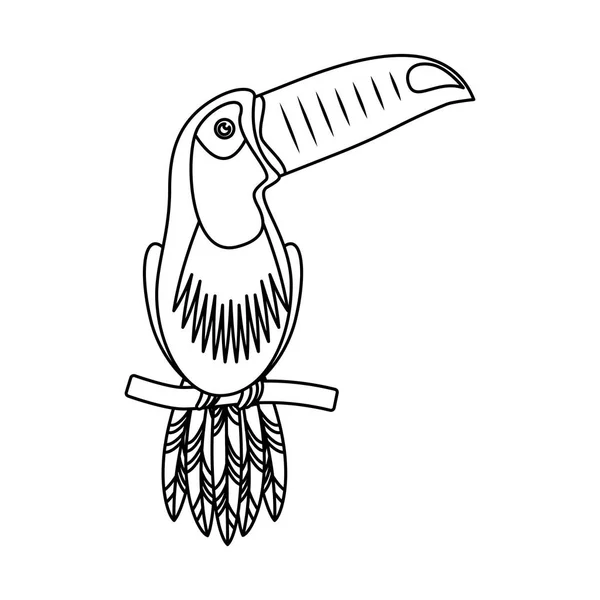 Tukán trópusi madár ikon — Stock Vector