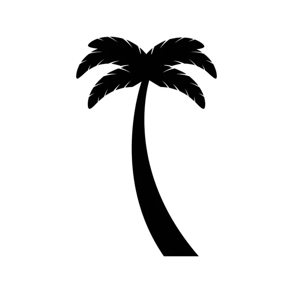 Tree palm tropical icon — Stock Vector