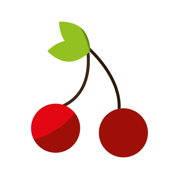 Kersen, vers fruit tekening pictogram — Stockvector
