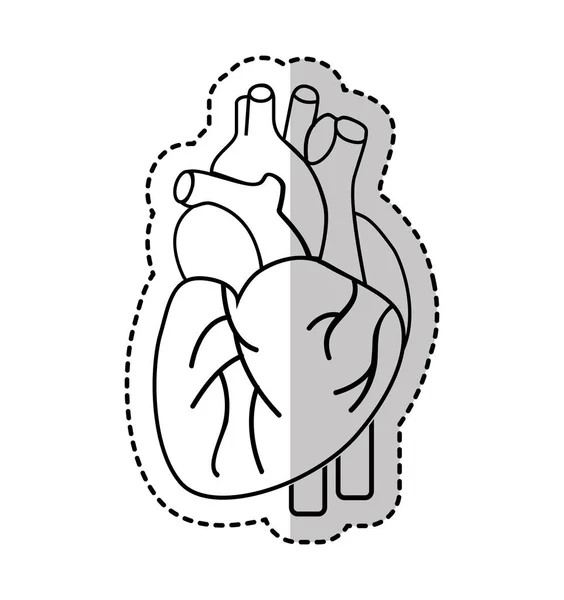 Corazón icono de órgano humano — Vector de stock