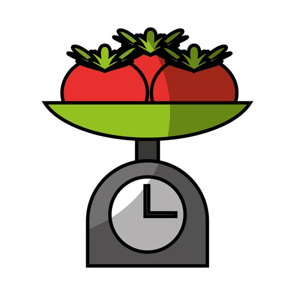 平衡与隔离的番茄 — 图库矢量图片