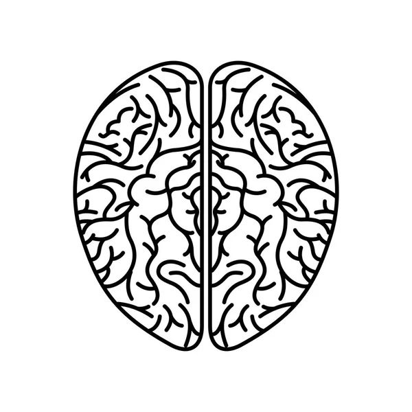 Icône du cerveau humain — Image vectorielle