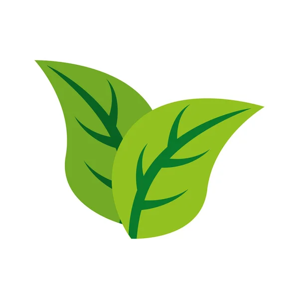 Planta hojas aislado icono — Vector de stock