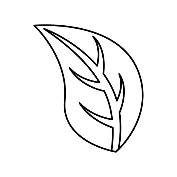 Levelek a növény elszigetelt ikon — Stock Vector