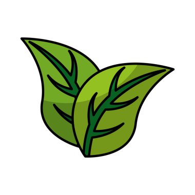 bitki izole simgesi yapraklar