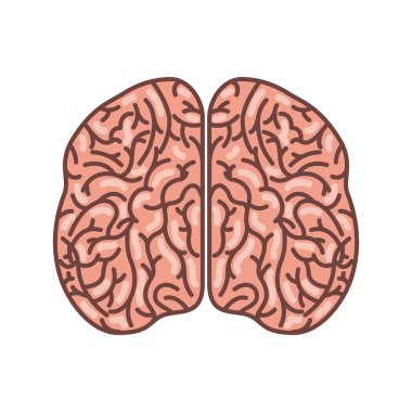 insan beyni organ izole simgesi