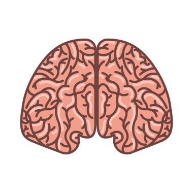 insan beyni organ izole simgesi