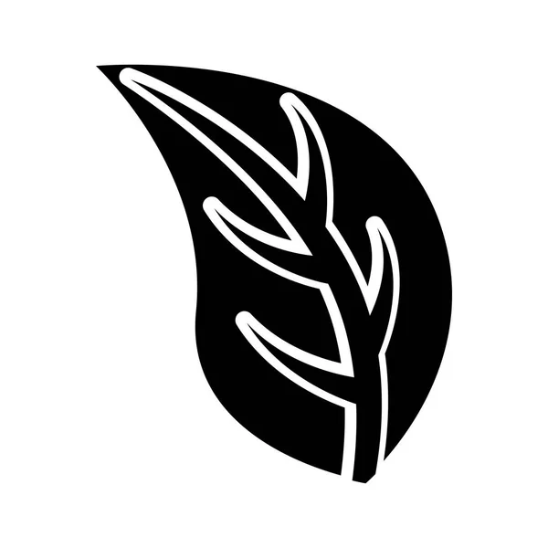 Listy rostlin izolované ikonu — Stockový vektor