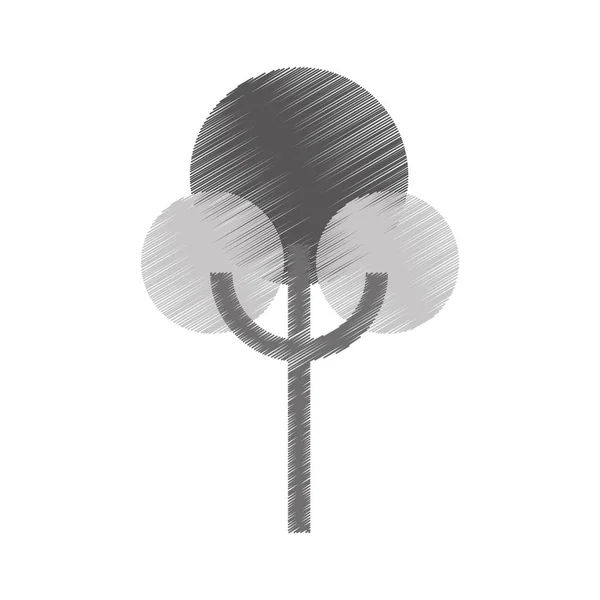 Fa növény silhouette elszigetelt ikon — Stock Vector