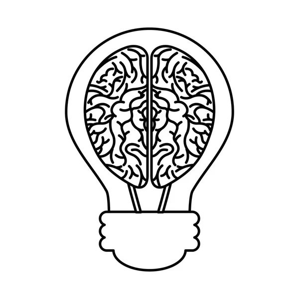 Human brain organ with bulb isolated icon — Stock Vector