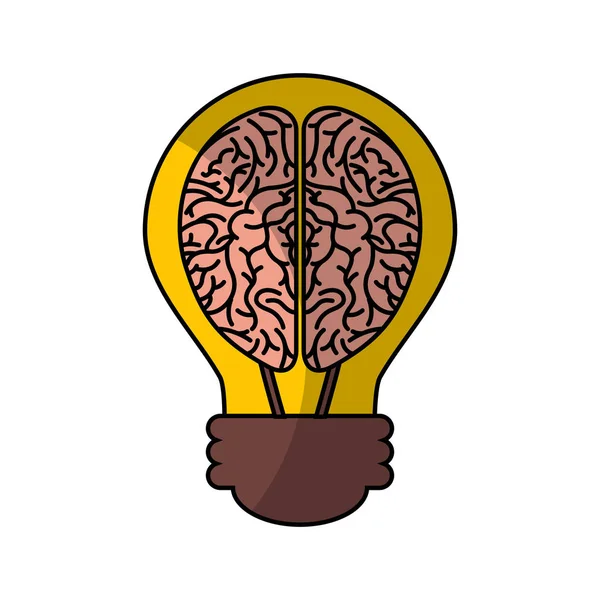 Menschliches Gehirnorgan mit Glühbirne isoliert Symbol — Stockvektor