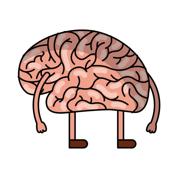 Cerebro humano kawaii carácter — Vector de stock