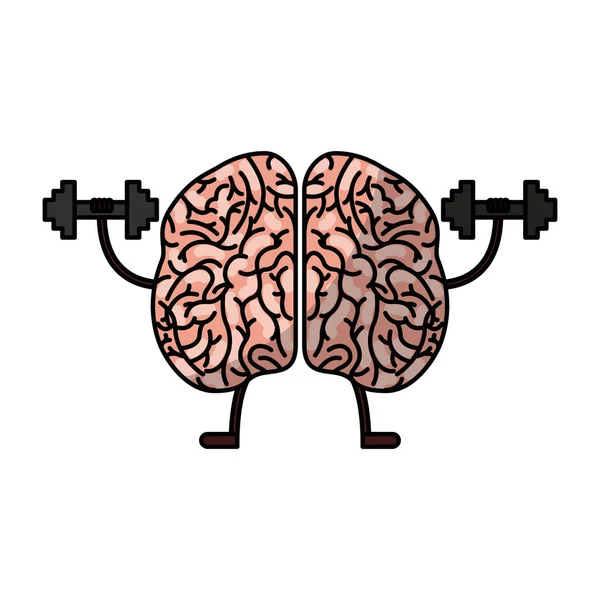 Cerebro humano kawaii carácter — Archivo Imágenes Vectoriales