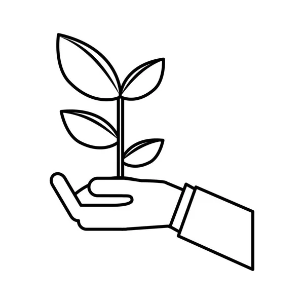 Folhas planta ícone isolado — Vetor de Stock