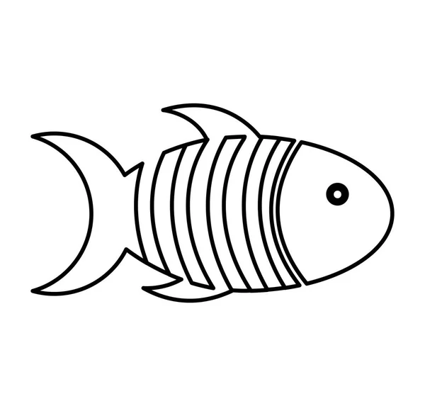 Cute fish mascot isolated icon — Stock Vector