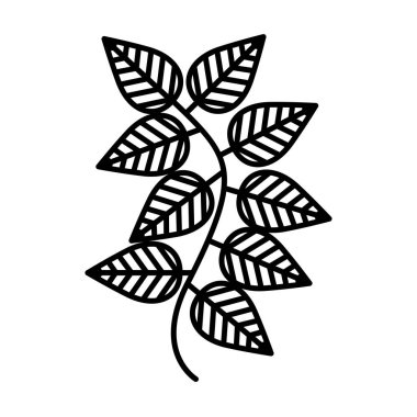 izole simge çay yaprakları