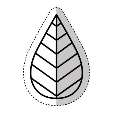 izole simge çay yaprakları