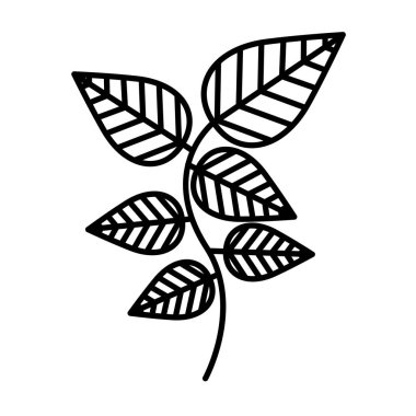 izole simge çay yaprakları