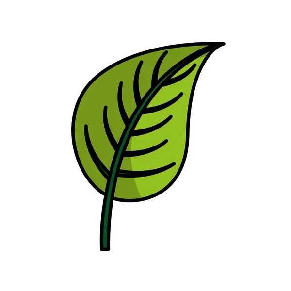 Leafs ikona na białym tle roślina — Wektor stockowy