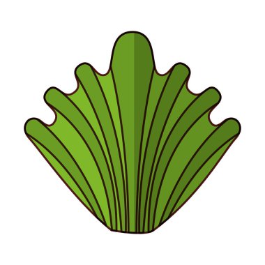 Vejetaryen Gıda bitki yaprakları