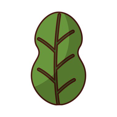 Vejetaryen Gıda bitki yaprakları