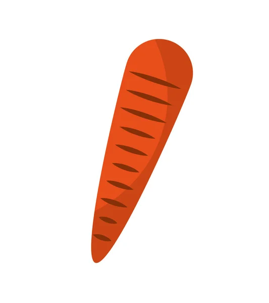 Морква свіжий овочевий ізольований значок — стоковий вектор