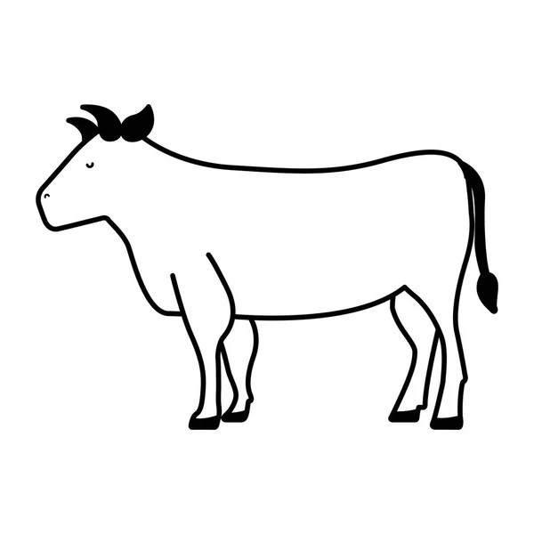 Viande de vache icône de boucherie — Image vectorielle