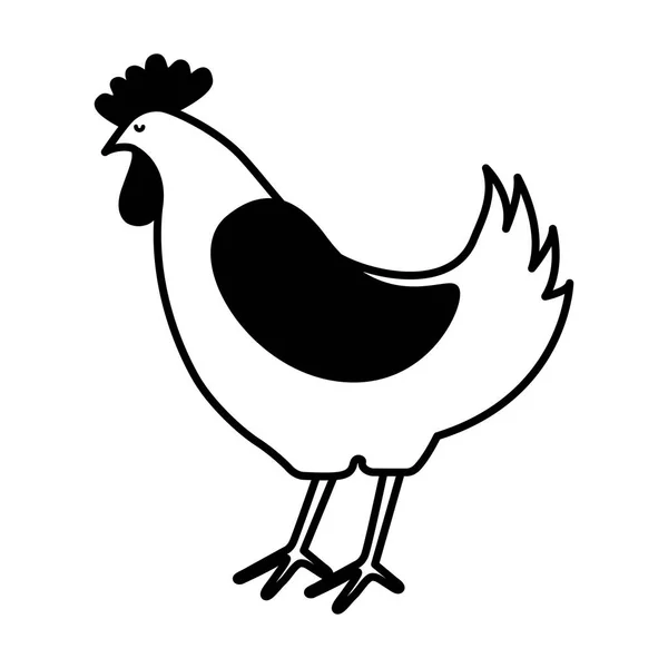 Viande de poulet icône de boucherie — Image vectorielle