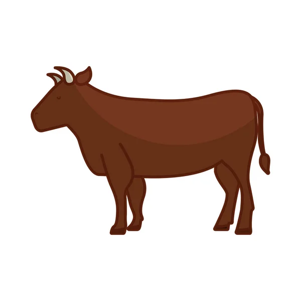Carne de vaca carnicería icono — Vector de stock