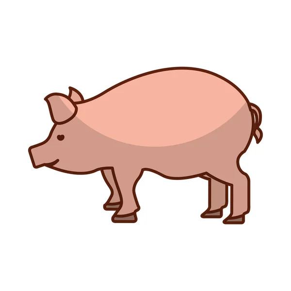 Pork meat butchery icon — Stock Vector