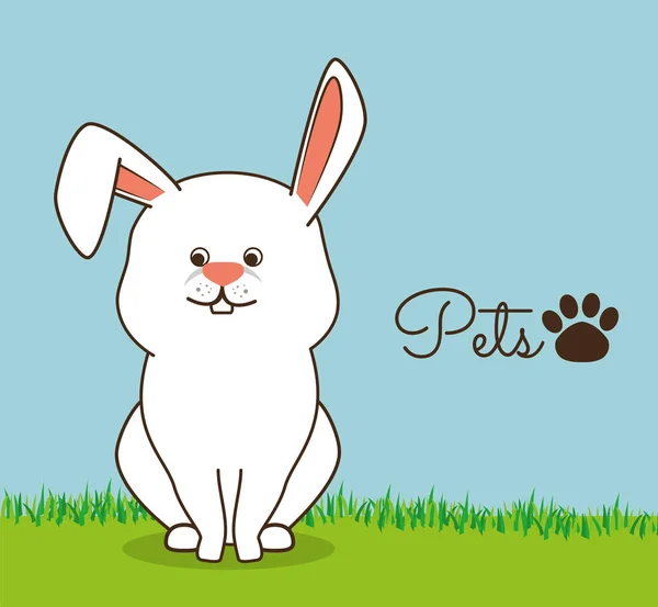 Rabbit pet shop icon — Stock Vector