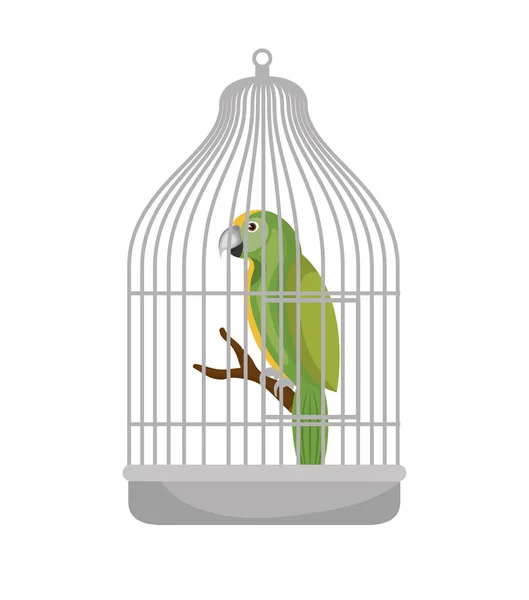 Bird pet shop icon — Stock Vector