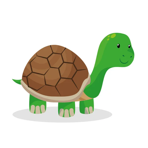 Tortuga tienda de mascotas icono aislado — Vector de stock