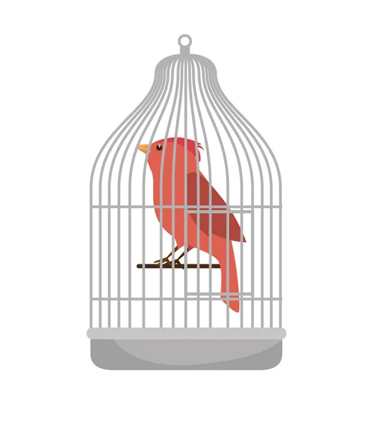 Fågel djuraffär ikonen — Stock vektor