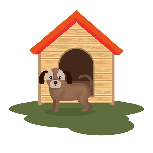 Hund djuraffär ikonen — Stock vektor