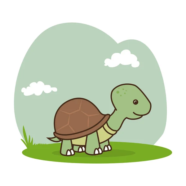 Lindo tortuga aislado icono — Vector de stock