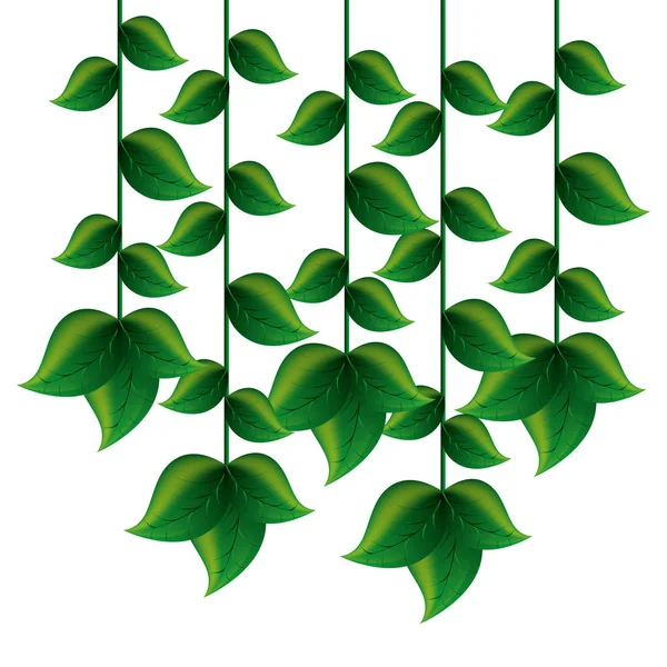 Folioles écologie végétale icône — Image vectorielle