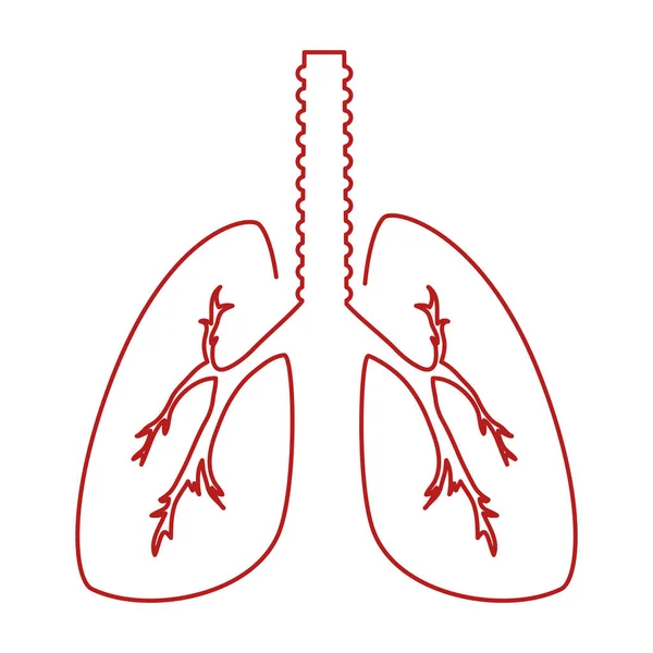 Ecological lungs isolated icon — Stock Vector