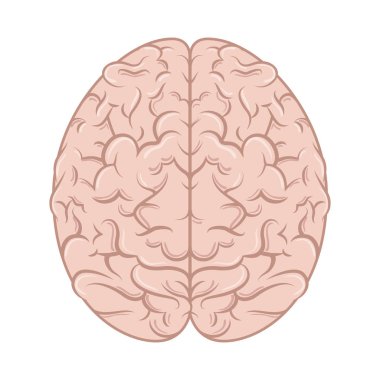 beyin fırtınası izole simgesi