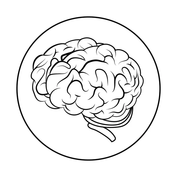 Ikona na białym tle mózgów — Wektor stockowy