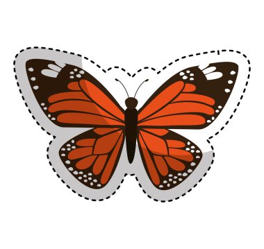 şirin kelebek izole simgesi